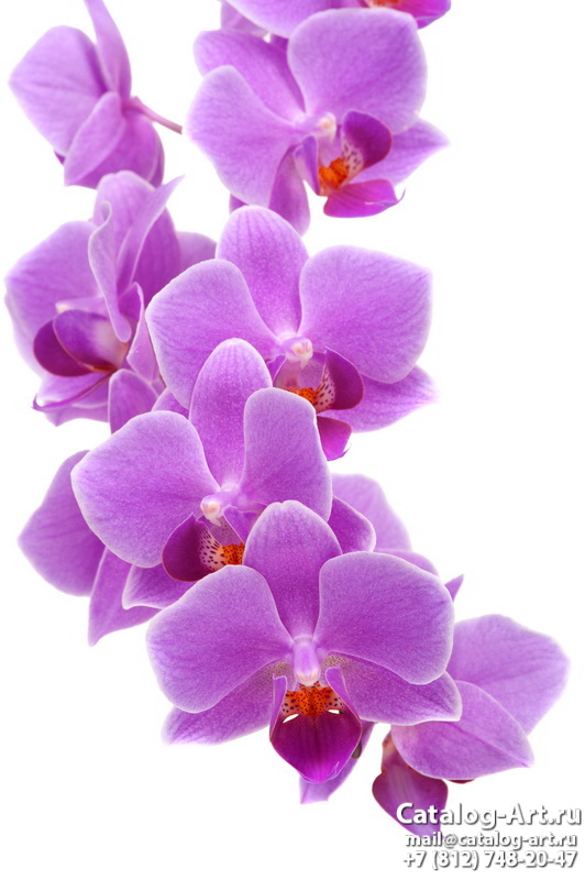 Натяжные потолки с фотопечатью - Розовые орхидеи 58